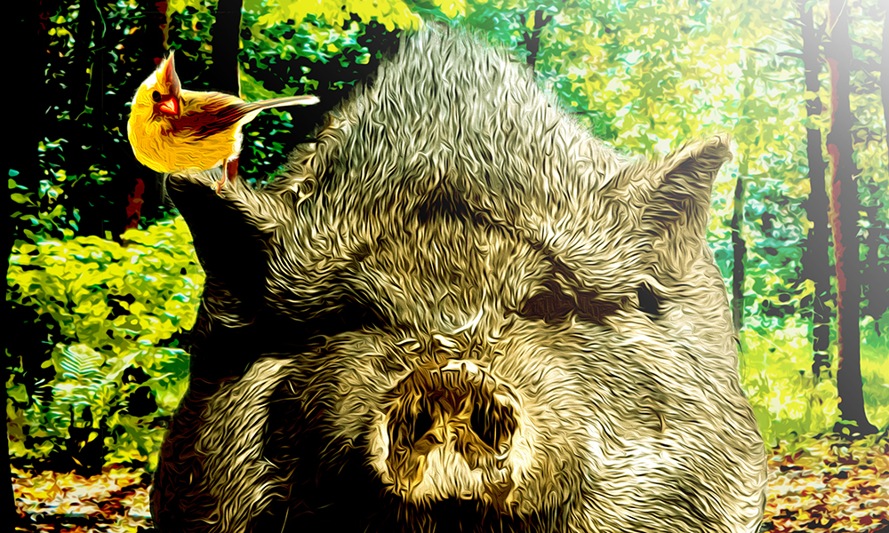 Story image for Pultu's Lesson by Sean Myers