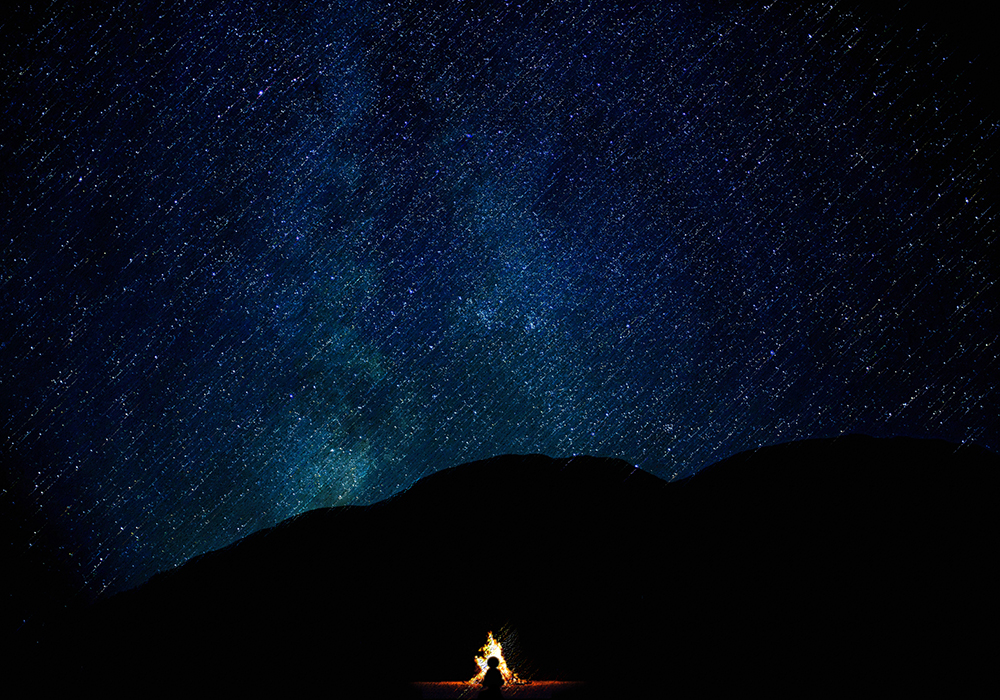 Story image for There's Always One by C. J. Peterson